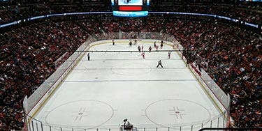 Image of Anaheim Ducks In Ontario