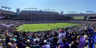 Image of Baltimore Ravens In East Rutherford